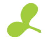 Product Icon 1